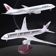 Visible Aircraft Compartment China Aircraft Simulation Aircraft Model b787 Boeing 737 Perspective Ai