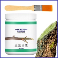 Tree Wound Pruning Sealer Plant Tree Wound Healing Sealant Bonsai Wound Healing Agent Plant Pruning Heal Paste myashosg myashosg