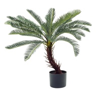 ต้นปรงญี่ปุ่น ต้นไม้ประดิษฐ์ สำหรับตกแต่งบ้าน เพิ่มบรรยากาศคาเฟ่ MDL11-FH-ST80 MDL11-FH-ST1502