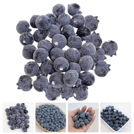 5/10PCS High Simulation Fruit 2cm Foam Fake Blueberry Photo Props Fruit Home Artificial Food Blueber