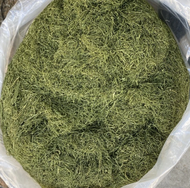 daun herbal gayo hijau gread a 50 gram