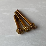 ENGINE COVER SCREW GOLD SKRU ENJIN GOLD M6 40MM 50MM 55MM