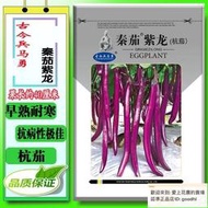 紫龍杭茄種子早熟超長茄子種子紫色茄子種子茄種子高產長茄種子