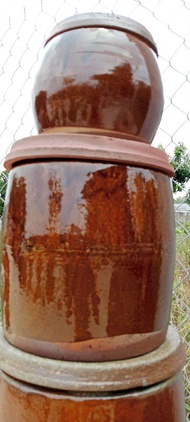 Lu gạo giá rẻ chum đựng gạo 20L. khạp đựng nước