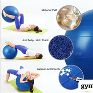 Yoga Ball Gym Fitness Equipment Ball 55/65 75 Cm
