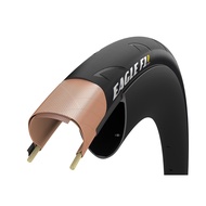 GOOD YEAR EAGLE F1R / SUPERSPORT F1R ROAD TIRE TUBE TYPE