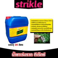 น้ำยาเร่งราก วิตามินบี-1 B1 ขนาด 20 ลิตร ทีเร็กซ์ บีวัน-สตาร์ท เร่งราก เรียกราก ช่วยให้พืชแตกรากได้ด