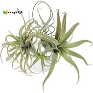 4Pack Artificial Pine Grass Air Plants Fake Flowers Faux Flocking Tillandsia Bromeliads Home Garden Decor