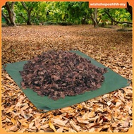 [WishshopeehhhMY] Garden Leaf Tarp Yard Waste Tarp Convenient Storage Versatile Vegetable Patch