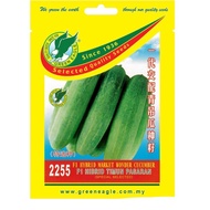 2255 F1 Hybrid Market Wonder Cucumber Bibit Timun Pasaran