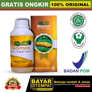 QnC Jelly Gamat Emas Asli 100% Original Herbal Alami Solusi Untuk Obat Penyakit Hernia Epilepsi Usus