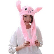 Bunny Hat Rabbit