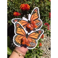 SABUN RESDUNG BY JR JUE🦋