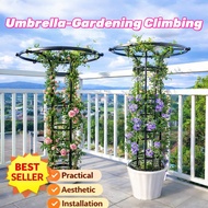 Garden Umbrella Trellis 120–210cm | Single & Double Circle | Climbing Plant Support Iron Material Fl