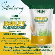 INTRODUCING NMN(Nicotinamide Mononucleotide) LIFESTYLE Barley+Wheatgrass Reglow Chocolate Mangosteen Guyabano Reboot