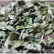 Daun Kari / Daun Kari kering / Salam Koja / curry leaves / karobelek / Daun kari/ Temurui