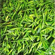 Cabe rawit ijo 500gr - cabe rawit - cabe rawit