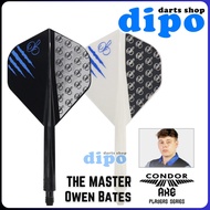CONDOR AXE THE MASTER (Owen Bates Flight) 【 Standard 】- CONDOR AXE Darts Flight (Hard Material)