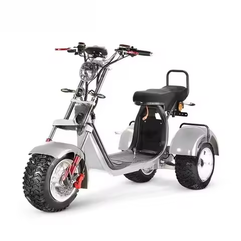 New Style 3 Wheels Electric Tricycle Scooter EEC Approved