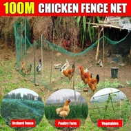 100M 1.5inch Hole Chicken Range Net Garden Net Fencing Outdoor Nylon Fishing Net For Poultry Farm