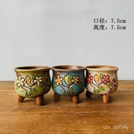 Supply Wholesale Korean Style Succulent Flowerpot Hand-Painted Miao Succulent Bonsai Pastoral Style Flowerpot Ceramic050