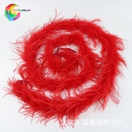 Fur strip decoration spotsupplyostrichfeatherscarf2meterslong Ostrich feather ostrich HXU8