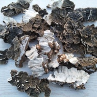 Premium Natural Turkey Tail Mushroom Tea 500g Organic Herbal Detox Drink for Energy Support