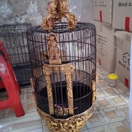 Sangkar Burung Anis Wambi Ukir