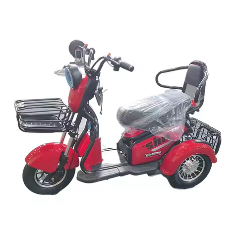 20 Inch Electric Trike Adults 750W Motor Fat Tire 3 Wheel Tricycle Bike Electro Three Wheels Adult C