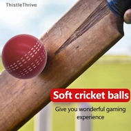 ️TT ️ Durable 6.3CM Soft PU Cricket Ball for Training Practice, All Ages, Bouncy PH