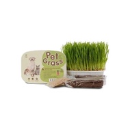 Green Pett Pet Grass Organic Wheatgrass Growing Kit for Pets