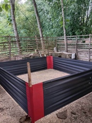 Geber Spon Geber Kain Ayam