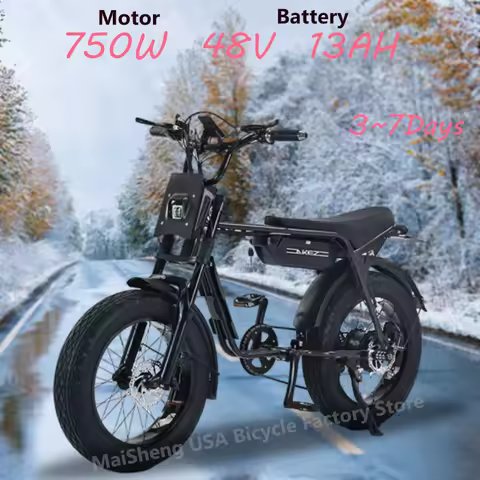 Ebike AKEZ ZX Electric Bike Adult 20" Fat Tire 750W Motor 48V 13AH Battery Fork Suspension Adult Cit
