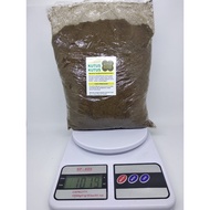 Kutus Kutus Oil Powder 1 kilogram