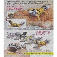 22年10月預訂！全新未開封 日版 Bandai 扭蛋 生物之大圖鑑 豹紋守宮 壁虎 Gecko (全5種)