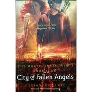 CITY OF FALLEN ANGELS BOOK