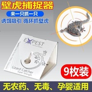 In stock Gecko Repellent Sticker Gecko Medicine Household Killing Gecko Repellent Gecko Handy Tool G