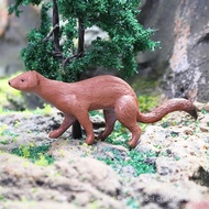 Children Toys Science Education Cognitive Simulation Wild Animal Model Solid Weasel Wolf Weasel Yell