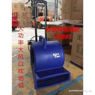 Haotian HT-900 Powerful Hair Dryer Three-Speed Adjustable Hair Dryer Warehouse Industrial Hotel Grou