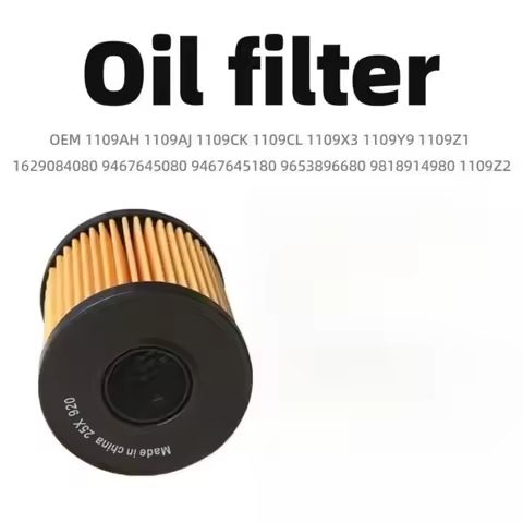 1109Z1 1109AH for Peugeot 206 207 307 308 3008 508 5008 Citroen C2C3C4C5DS3DS4DS5 Oil Filter