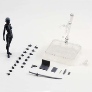 LUXE SHF Figuarts Body Kun Chan DX Set Drawing Figures for Artists Collection Gift Home Decor
