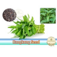 100pcs Seed Organic Water Spinach Vege Biji Benih Kangkung Kangkong Sayur  翁菜蔬菜种子