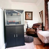 2 FEET PREMIUM IMPORTED AQUARIUM SET