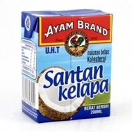 Ayam Brand Santan Kelapa 200ml