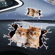 Cat in The Crack Sticker, 3D Cat Universal Car 3D Cat Stickers, Decals Animal