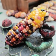 Wenwan Corn Handle Piece Super Fat Big Pier Mini Small Pier Finished Product Cheap Little Corn Wenwa