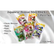 Japanese Bonsai Mini Blocks 5-Piece Set Cherry Blossom Maple Plum Wisteria Pine