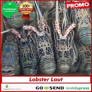 PROMO Lobster Laut Besar 1 kg - 250-350 gr -(GARANSI UANGKEMBALI)