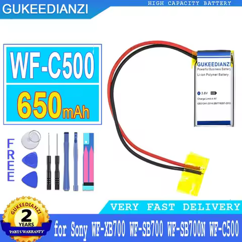 GUKEEDIANZI Battery WFC500 for Sony WF-XB700 WF-SB700 WF-SB700 WF-SB700N WF-C500, Charging Case, Big
