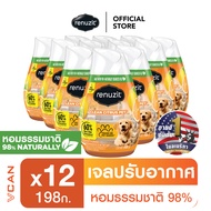 Renuzit Clean Citrus Pet รีนูซิต เจลปรับอากาศกลิ่นคลีนซีตรัส สัตว์เลี้ยง 198 กรัม (12ชิ้น)